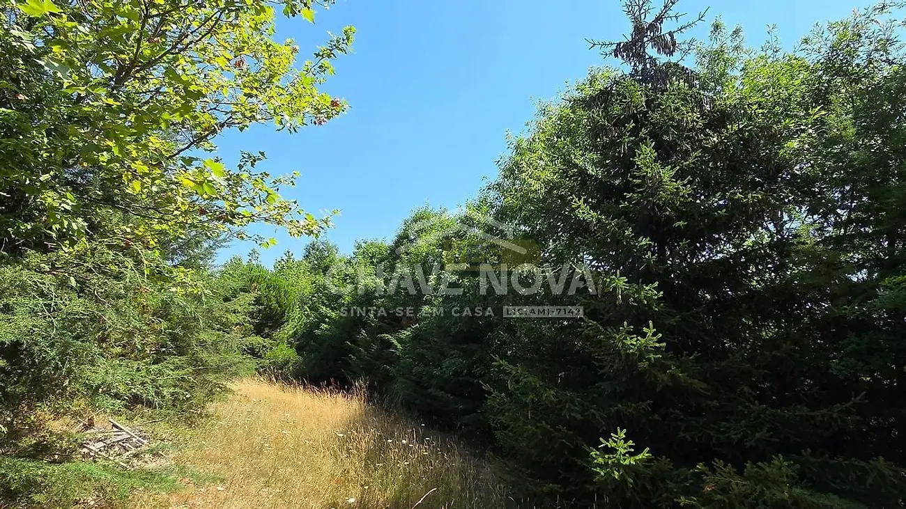 Moradia T4 à venda em Moimenta e Montouto, Vinhais — foto 23