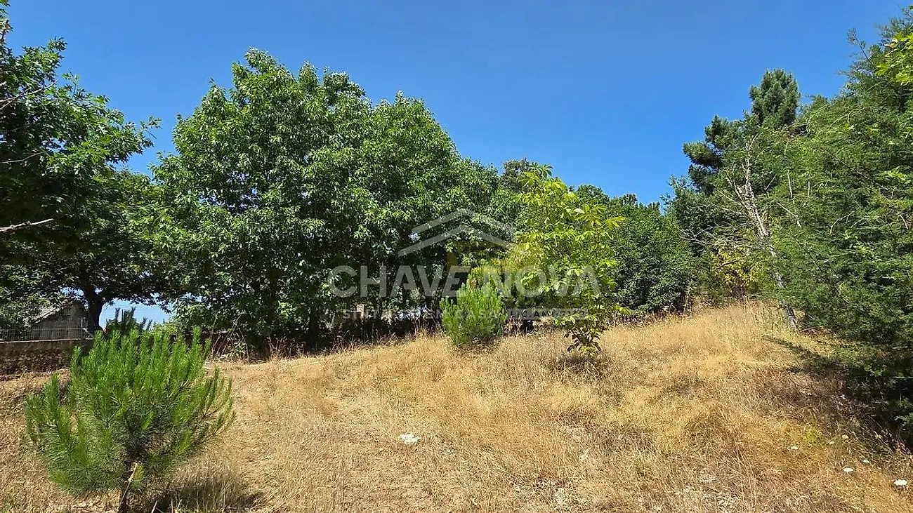 Moradia T4 à venda em Moimenta e Montouto, Vinhais — foto 24