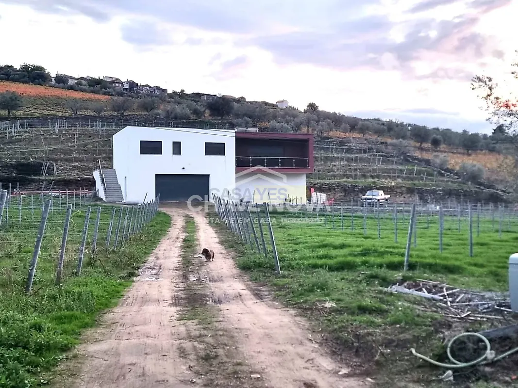 Moradia T0 à venda em Barcos e Santa Leocádia, Tabuaço — foto 17