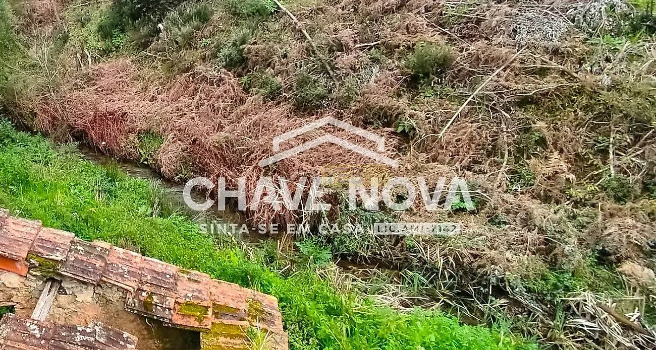 Moradia T0 à venda em Canelas e Fermelã, Estarreja — foto 4
