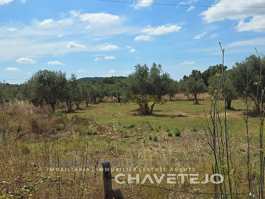 Moradia T0 à venda em Areias e Pias, Ferreira do Zêzere — foto 12