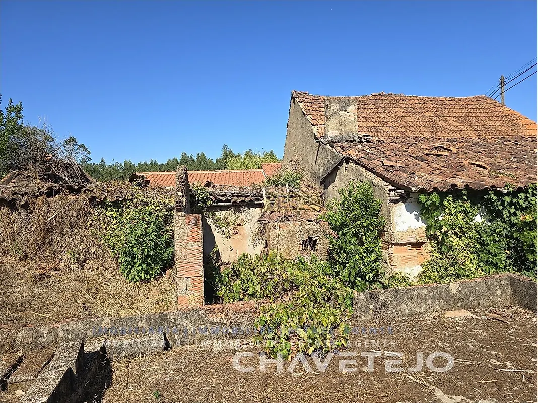 Moradia T0 à venda em Nossa Senhora do Pranto, Ferreira do Zêzere — foto 15