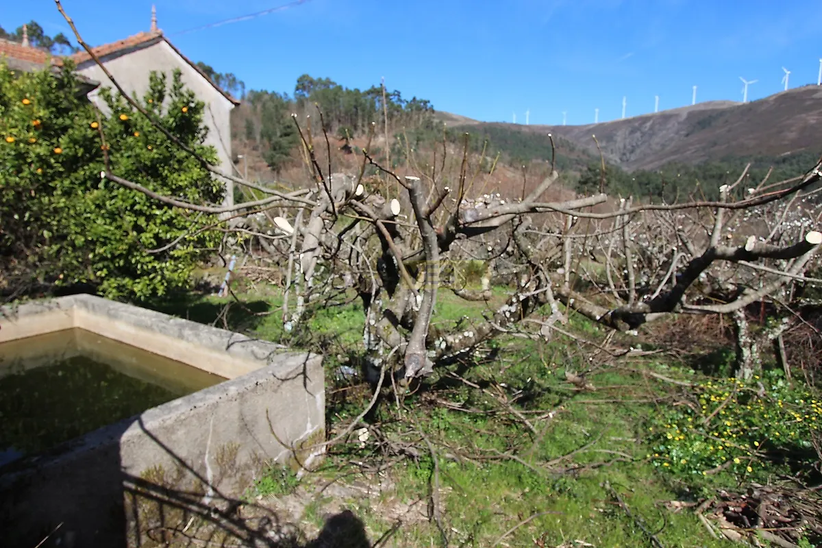 Moradia T2 à venda em Castanheira de Pêra e Coentral, Castanheira de Pêra — foto 12