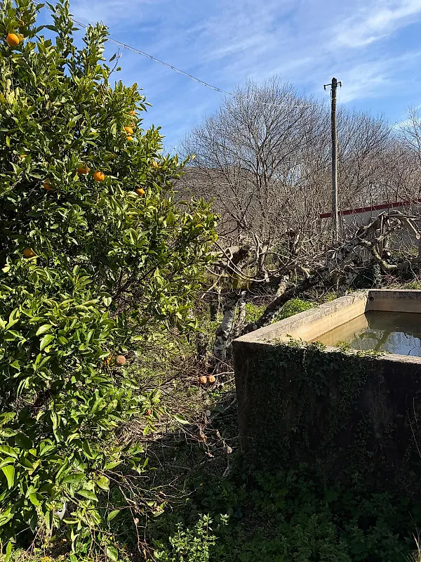 Moradia T2 à venda em Castanheira de Pêra e Coentral, Castanheira de Pêra — foto 13