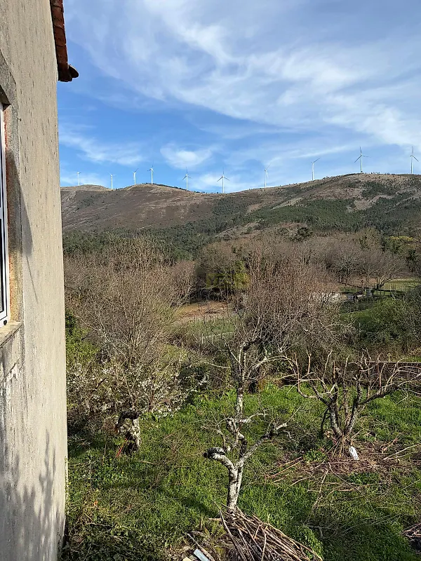 Moradia T2 à venda em Castanheira de Pêra e Coentral, Castanheira de Pêra — foto 23
