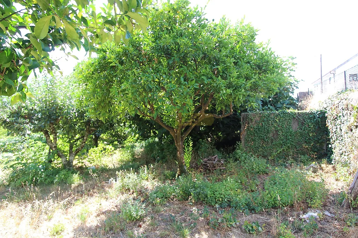 Moradia T2 à venda em Castanheira de Pêra e Coentral, Castanheira de Pêra — foto 26