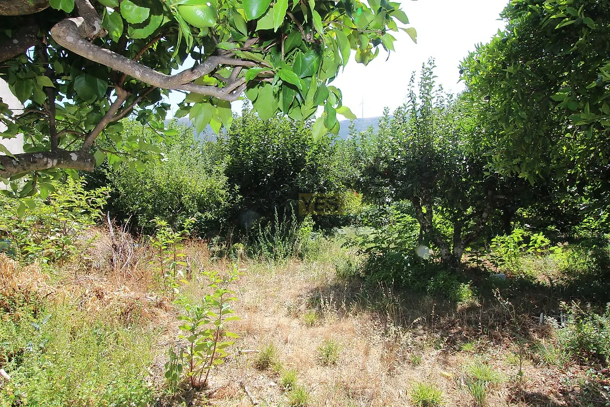 Moradia T2 à venda em Castanheira de Pêra e Coentral, Castanheira de Pêra — foto 27