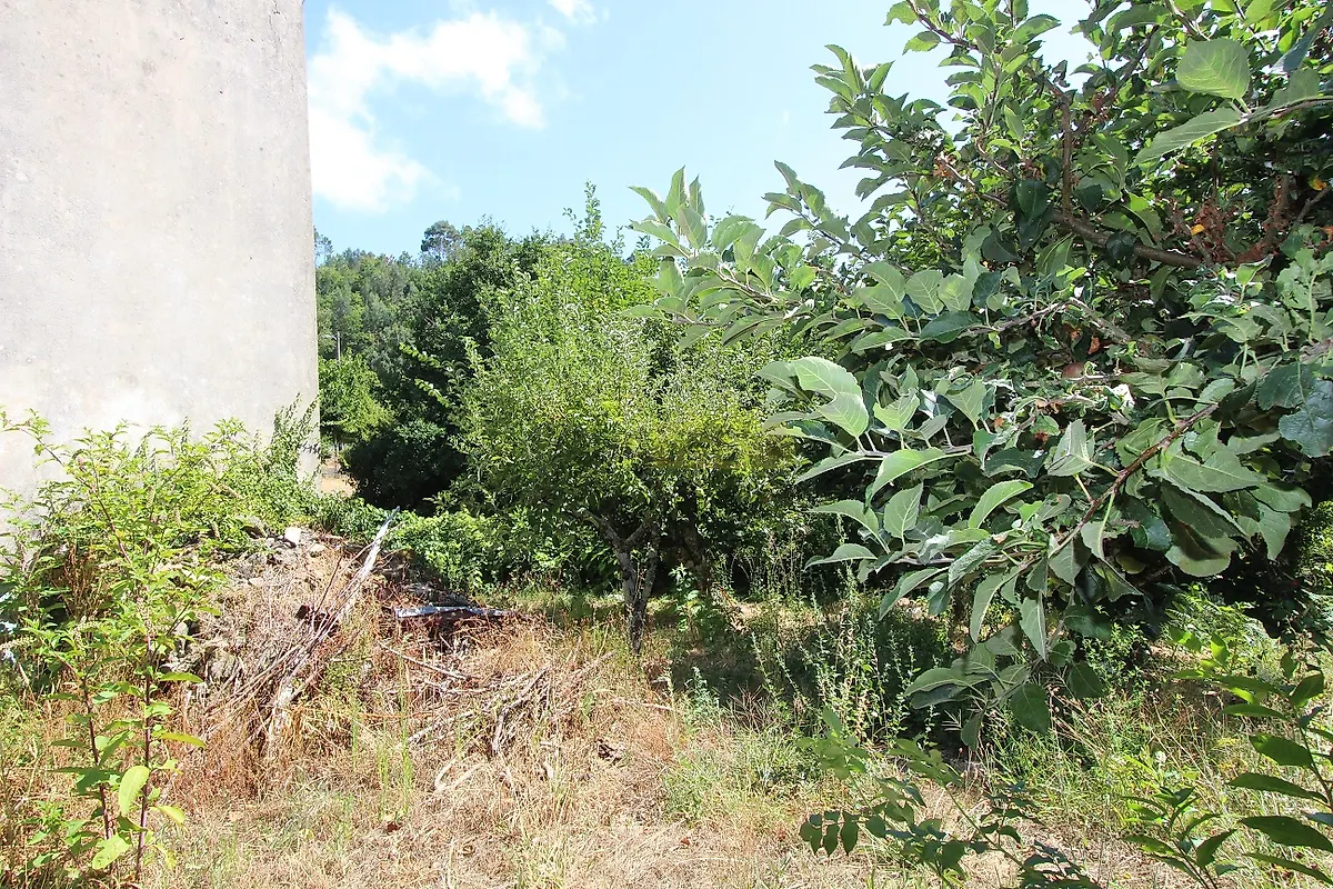 Moradia T2 à venda em Castanheira de Pêra e Coentral, Castanheira de Pêra — foto 28