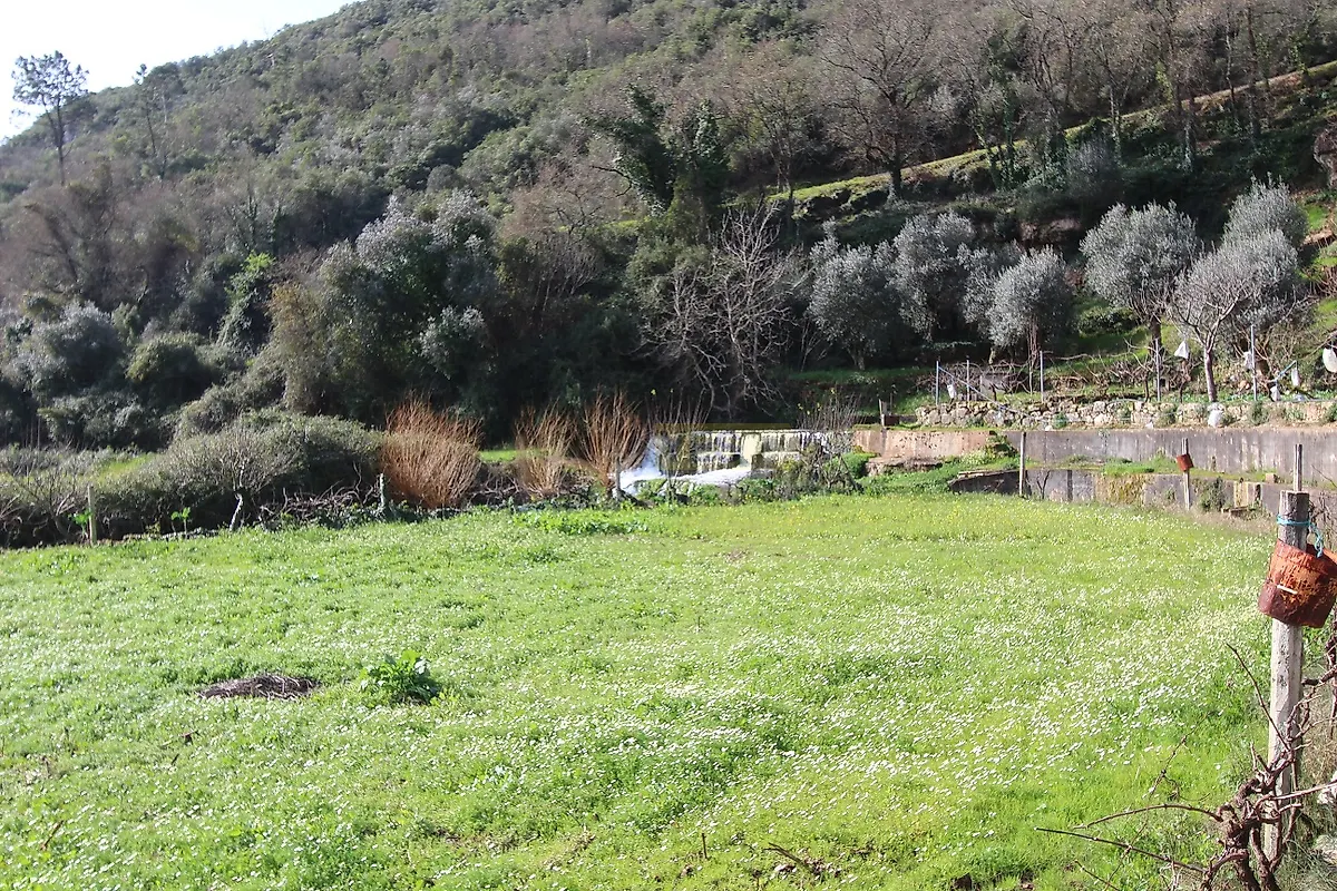 Apartamento T1 à venda em São Miguel, Santa Eufémia e Rabaçal, Penela — foto 10