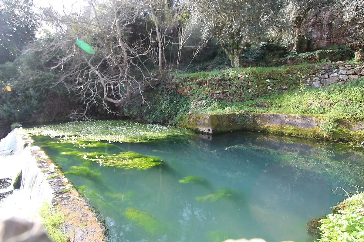 Apartamento T1 à venda em São Miguel, Santa Eufémia e Rabaçal, Penela — foto 27