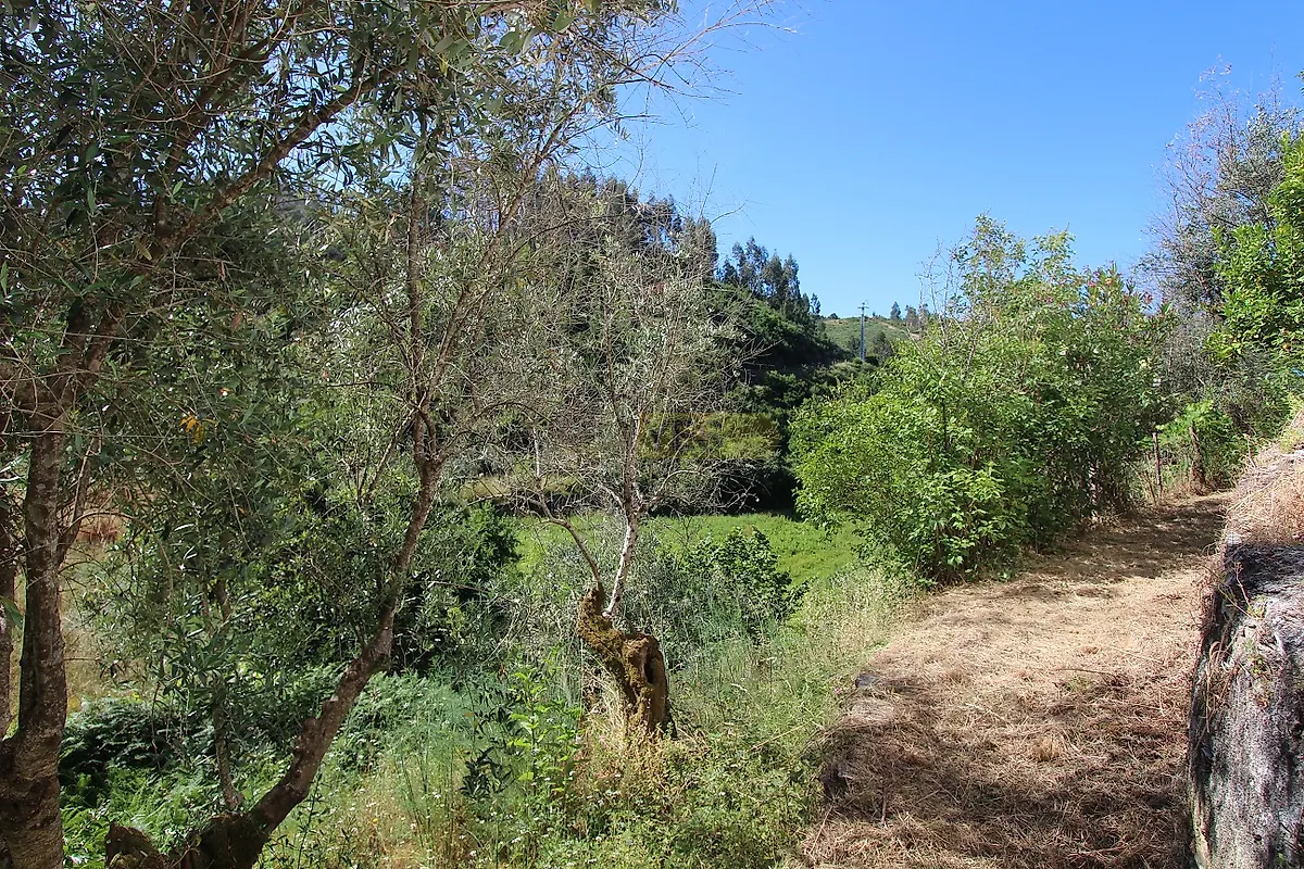 Moradia T2 à venda em Vila Cova de Alva e Anceriz, Arganil — foto 24