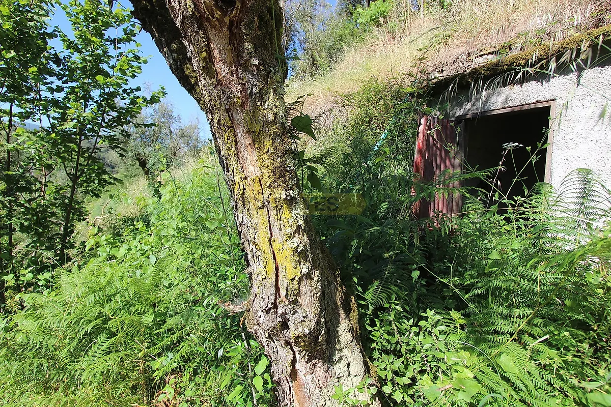 Moradia T2 à venda em Vila Cova de Alva e Anceriz, Arganil — foto 25