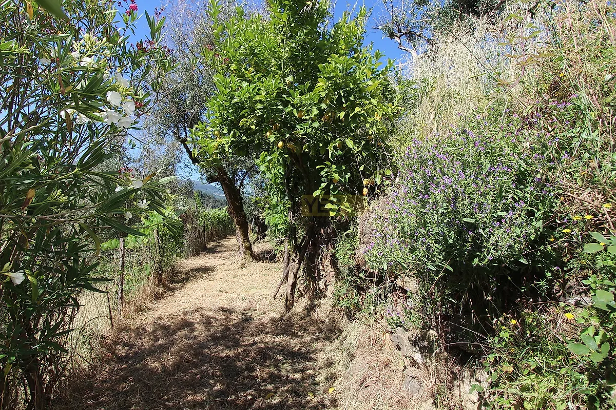 Moradia T2 à venda em Vila Cova de Alva e Anceriz, Arganil — foto 30