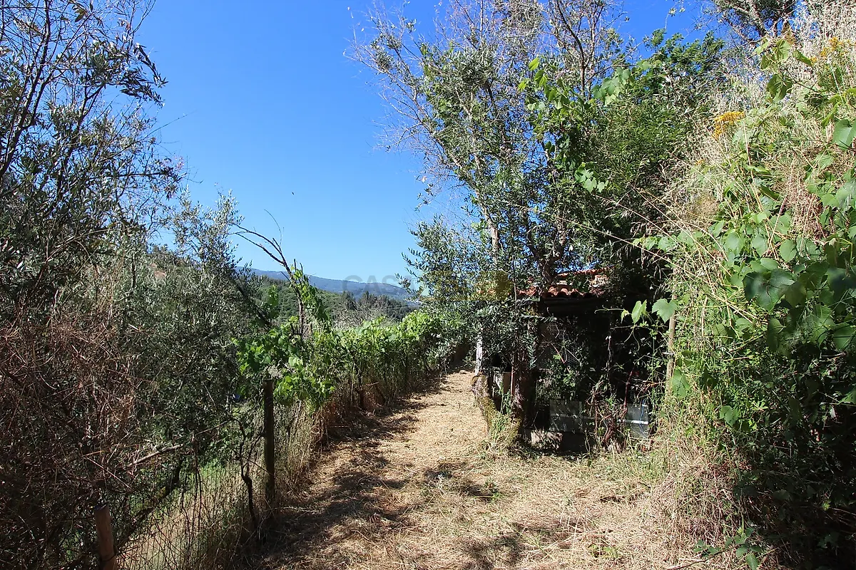 Moradia T2 à venda em Vila Cova de Alva e Anceriz, Arganil — foto 31