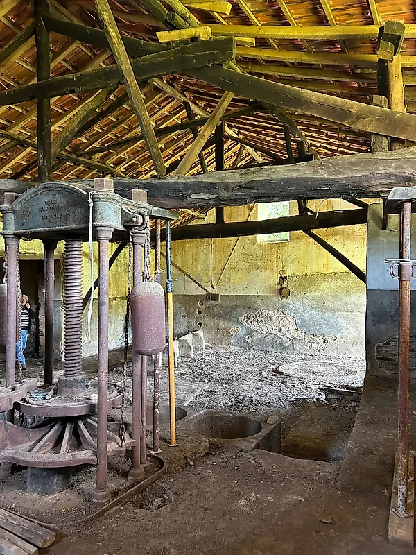Moradia T1 à venda em Côja e Barril de Alva, Arganil — foto 7