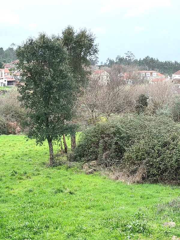 Moradia T1 à venda em Santa Ovaia e Vila Pouca da Beira, Oliveira do Hospital — foto 9