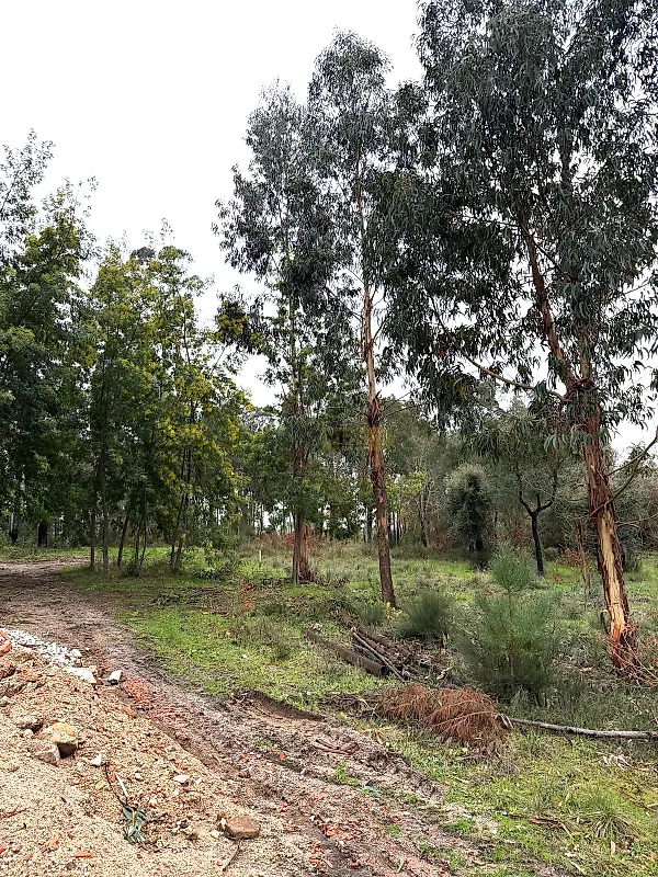 Moradia T1 à venda em Santa Ovaia e Vila Pouca da Beira, Oliveira do Hospital — foto 10