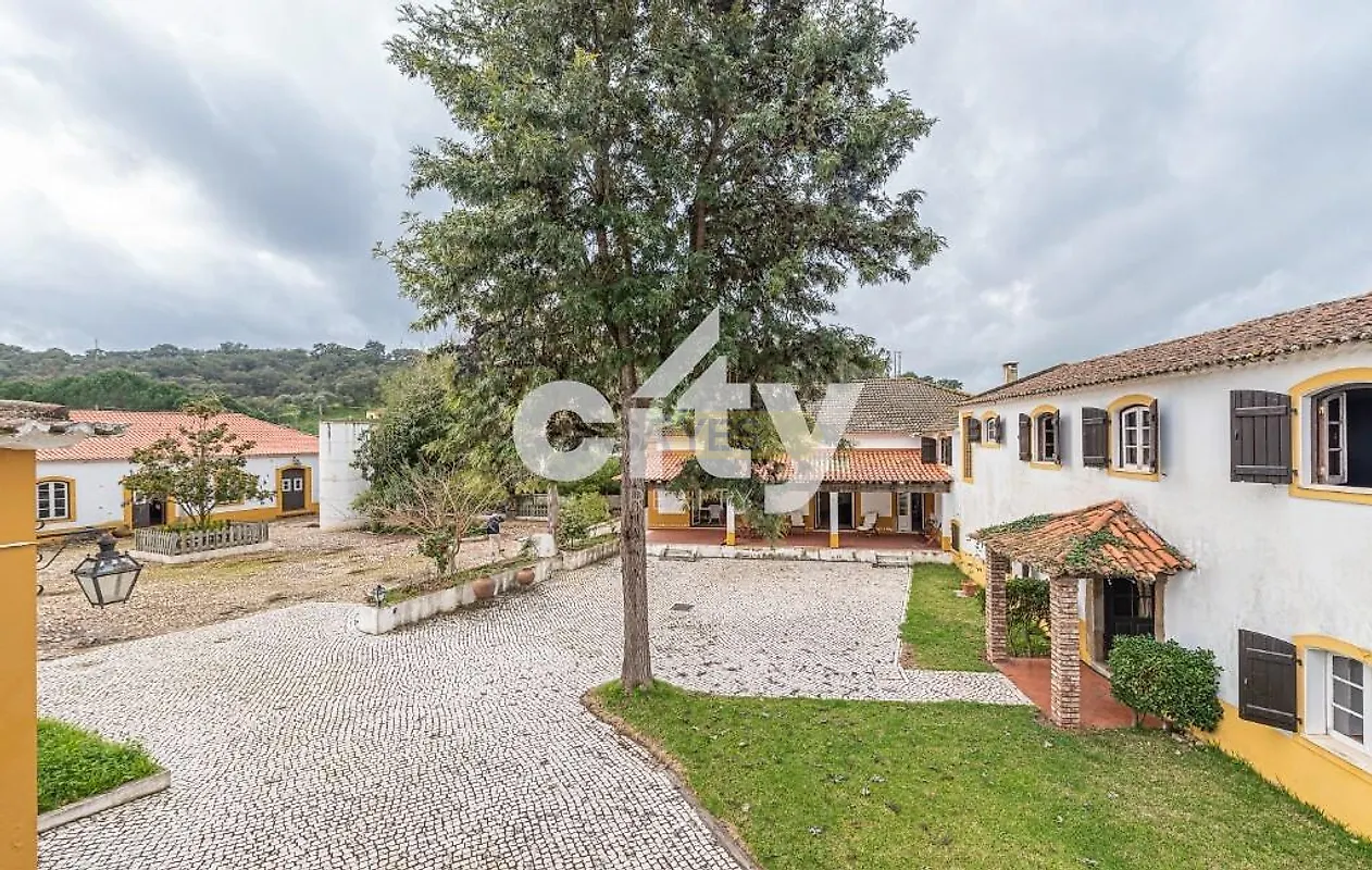 Moradia T6+ à venda em Chamusca e Pinheiro Grande, Chamusca — foto 2