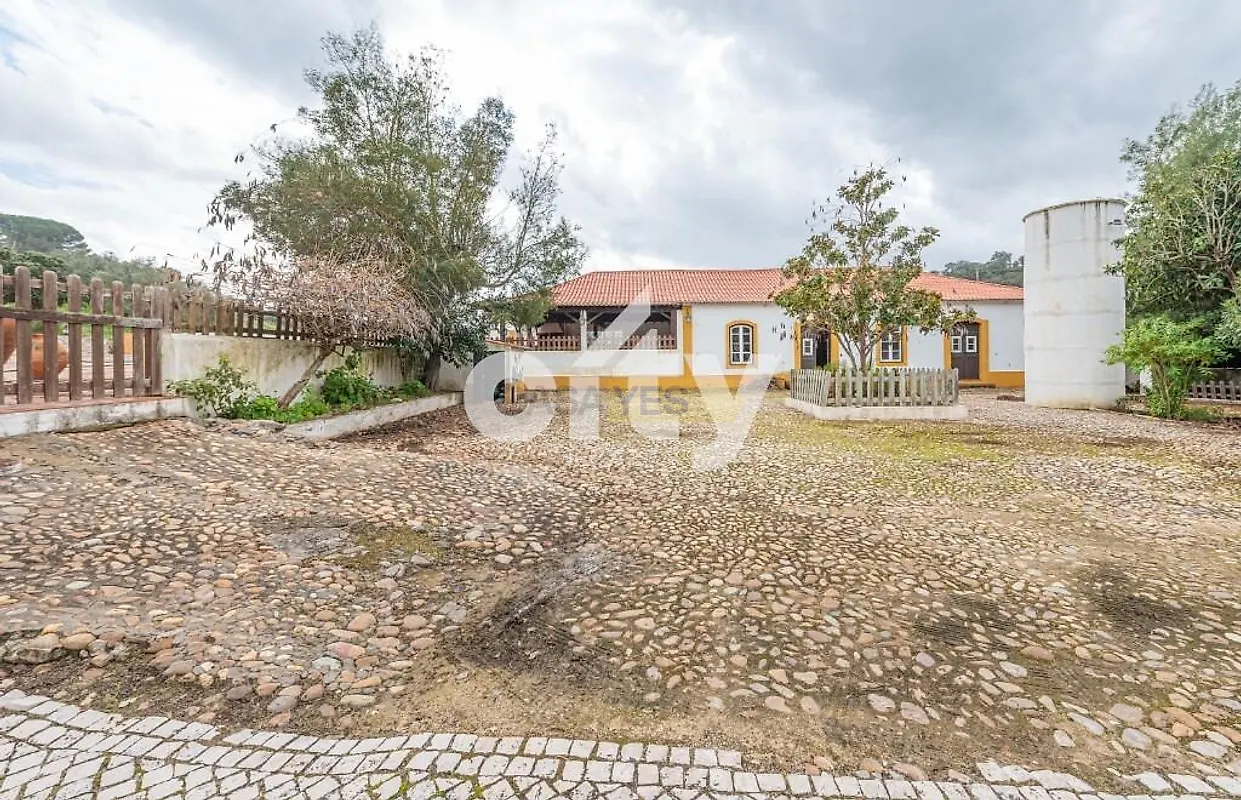 Moradia T6+ à venda em Chamusca e Pinheiro Grande, Chamusca — foto 27