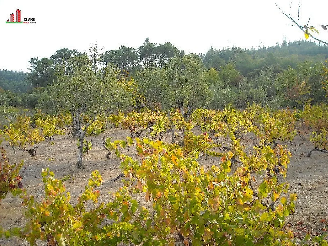 Moradia T3 à venda em Cumeeira, Penela — foto 17