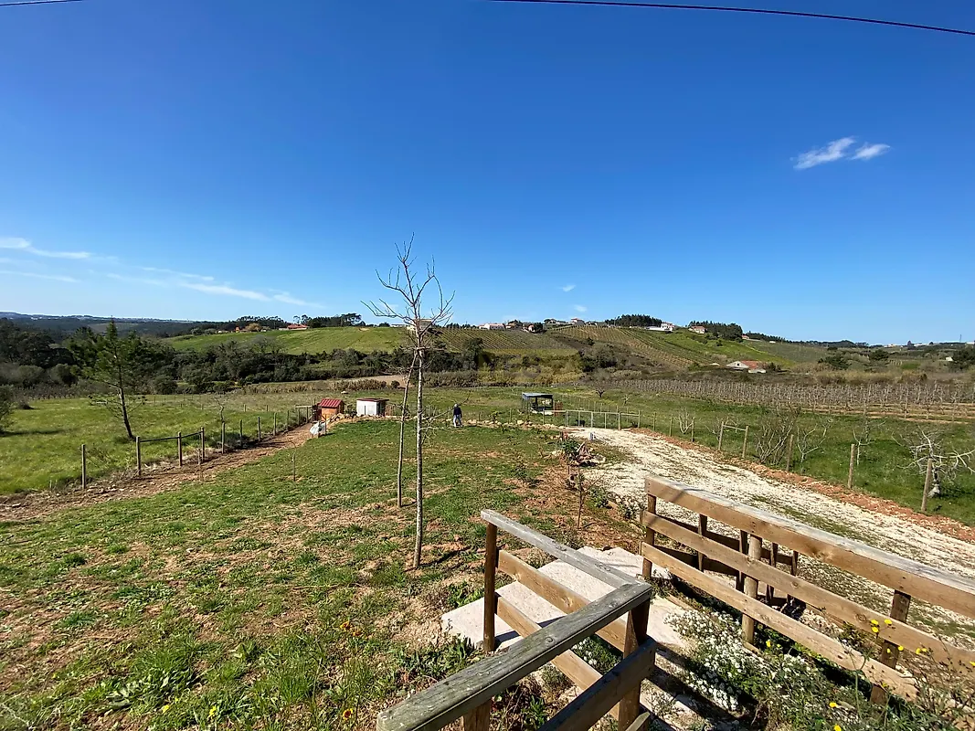 Moradia T6+ à venda em Salir de Matos, Caldas da Rainha — foto 38
