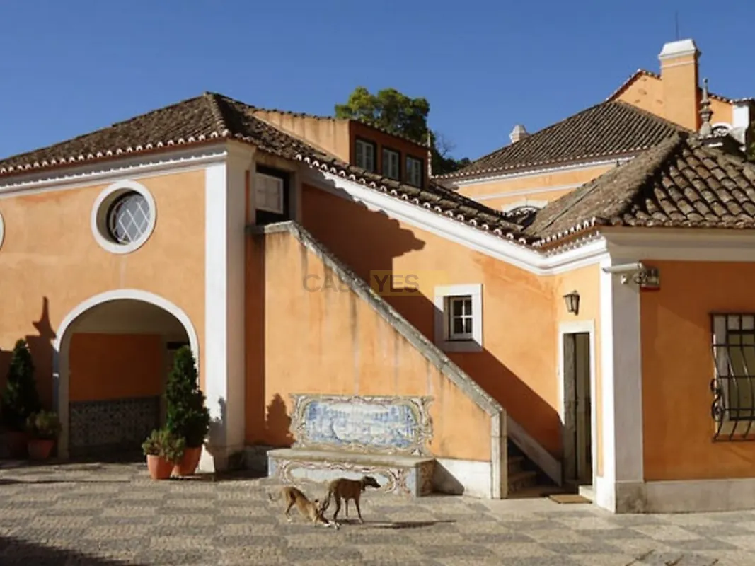 Moradia T6+ à venda em Carnide, Lisboa — foto 19
