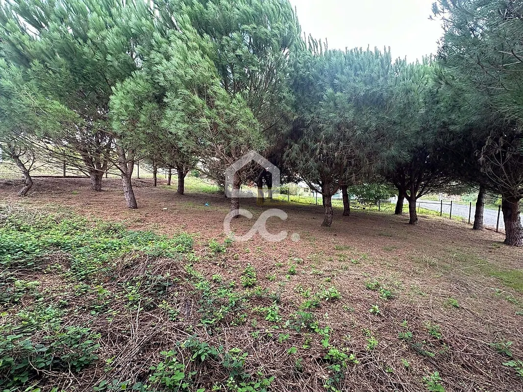 Moradia T2 à venda em Juncal, Porto de Mós — foto 12