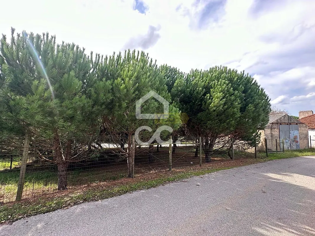 Moradia T2 à venda em Juncal, Porto de Mós — foto 18