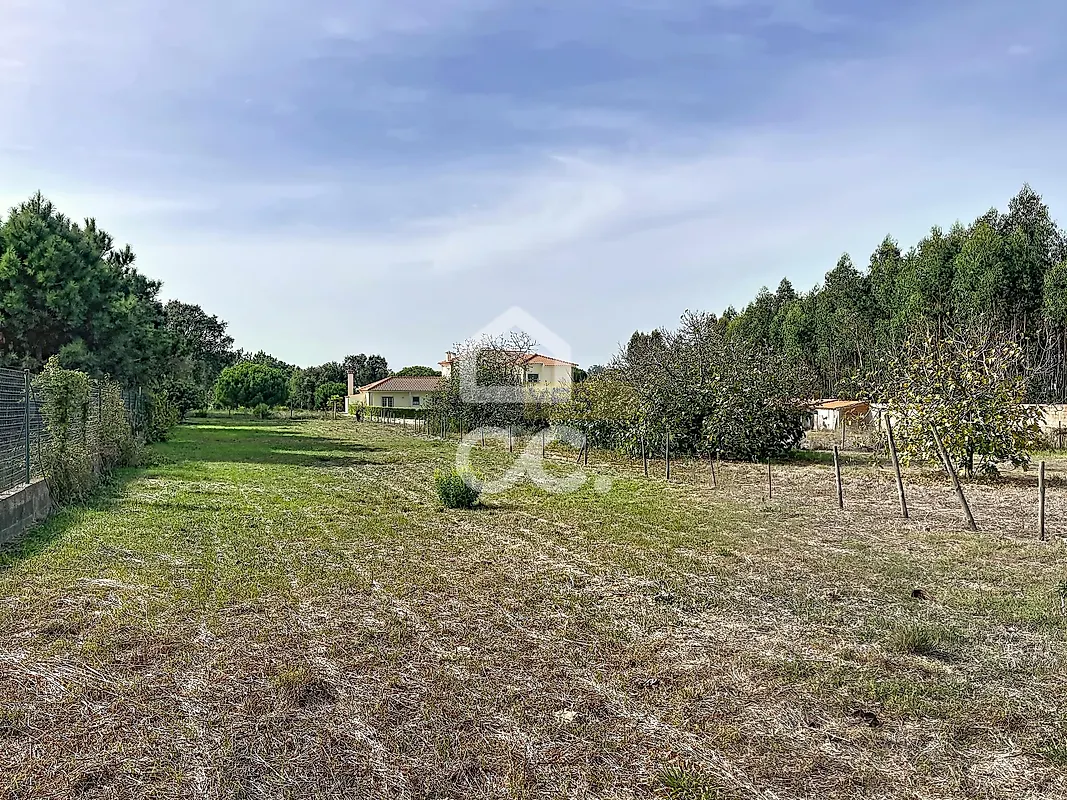 Moradia T6+ à venda em A dos Francos, Caldas da Rainha — foto 5