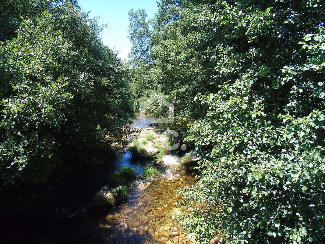 Moradia T0 à venda em Cerva e Limões, Ribeira de Pena — foto 20