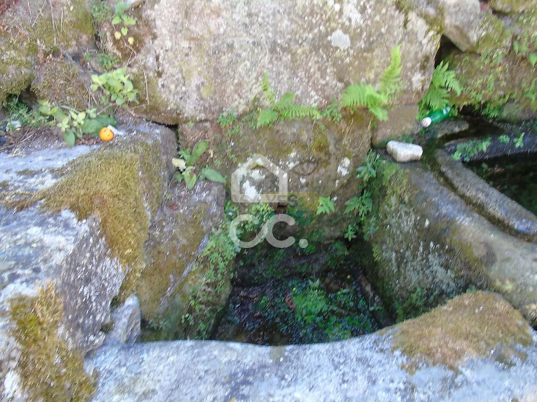Moradia T0 à venda em Cerva e Limões, Ribeira de Pena — foto 18