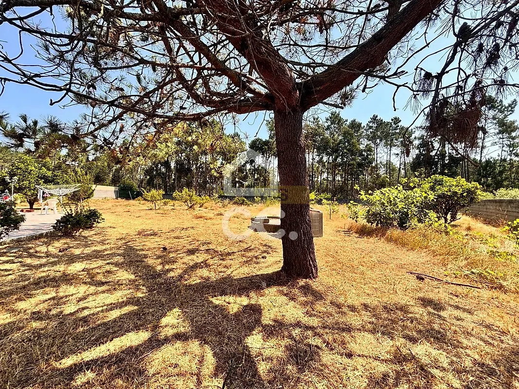 Moradia T3 à venda em Coimbrão, Leiria — foto 6