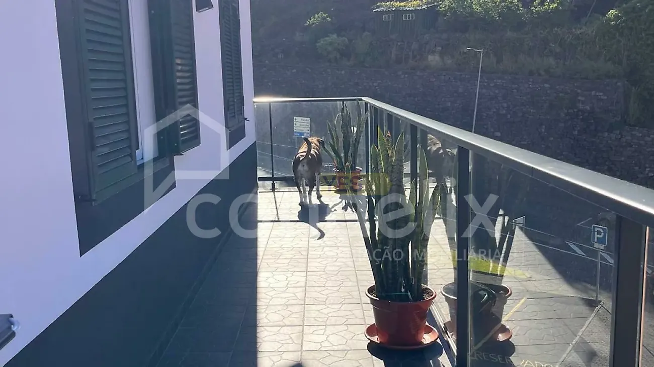 Moradia T1 à venda em Estreito da Calheta, Calheta — foto 9