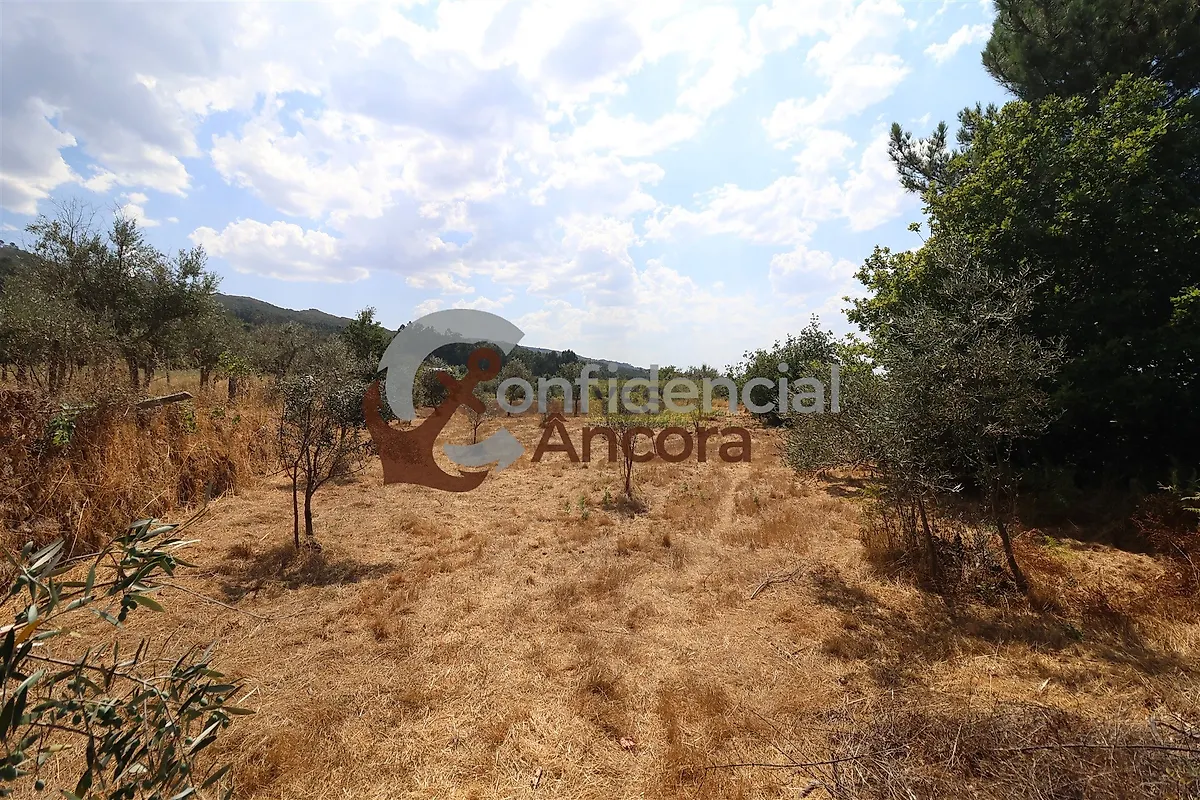 Moradia T3 à venda em Santa Marinha e São Martinho, Seia — foto 33