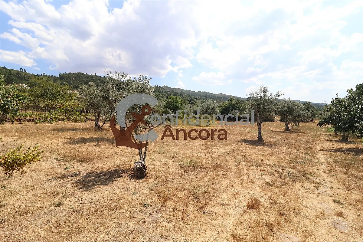 Moradia T3 à venda em Santa Marinha e São Martinho, Seia — foto 30