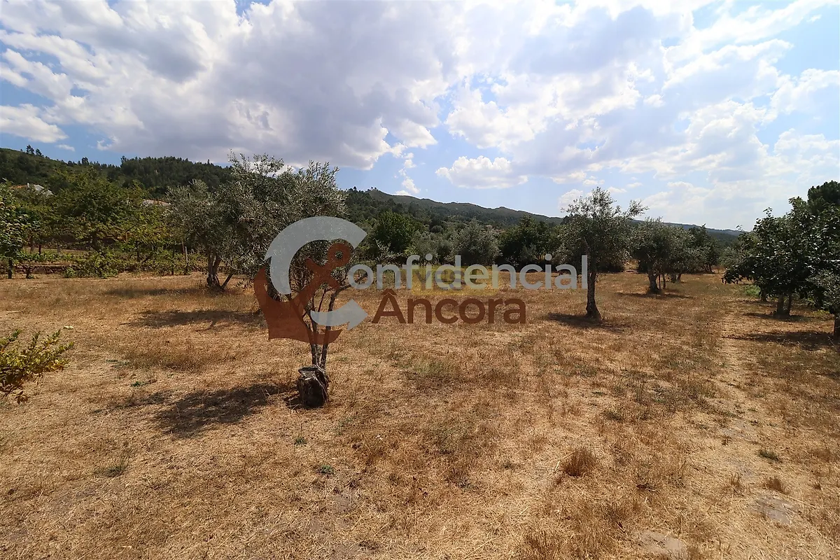 Moradia T3 à venda em Santa Marinha e São Martinho, Seia — foto 31