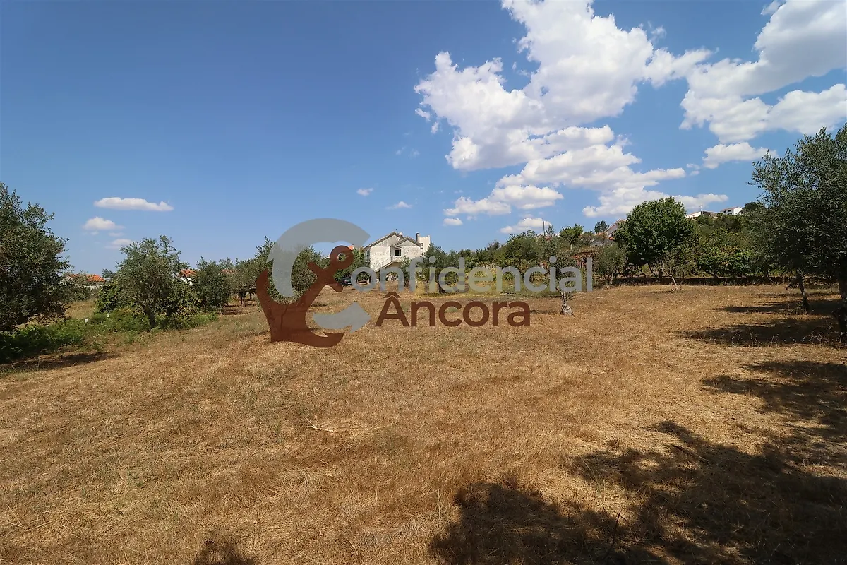 Moradia T3 à venda em Santa Marinha e São Martinho, Seia — foto 34