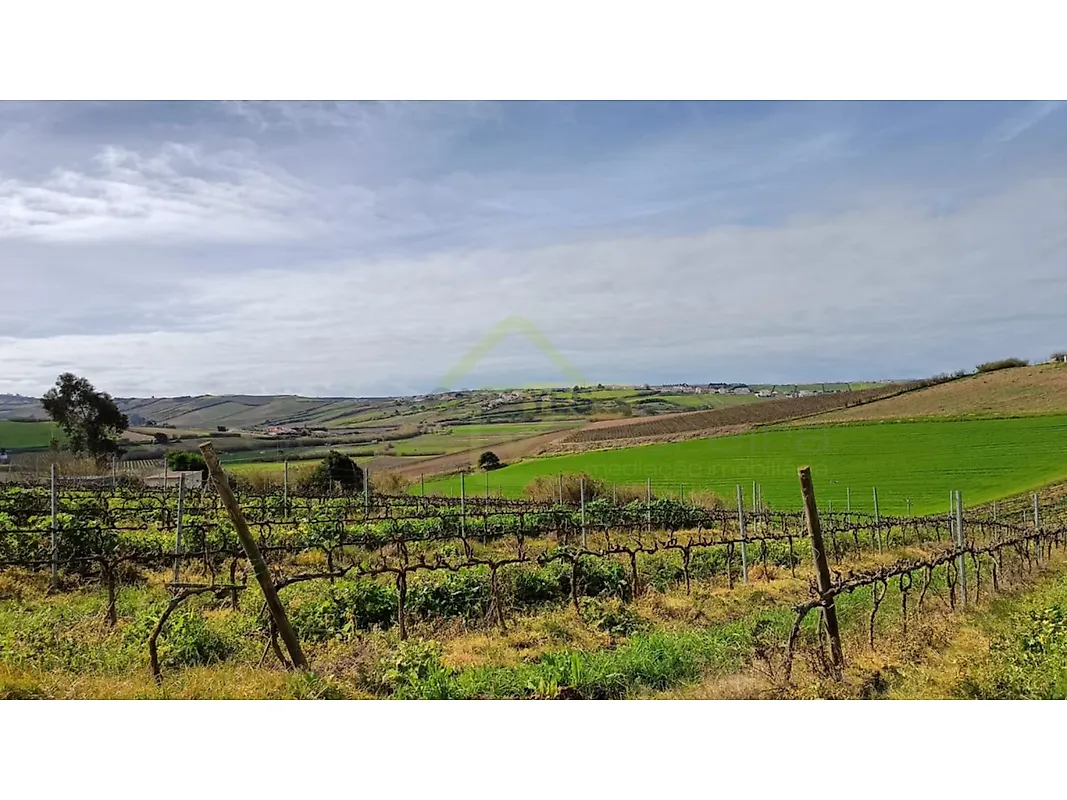 Moradia T0 em Ventosa, €680.000