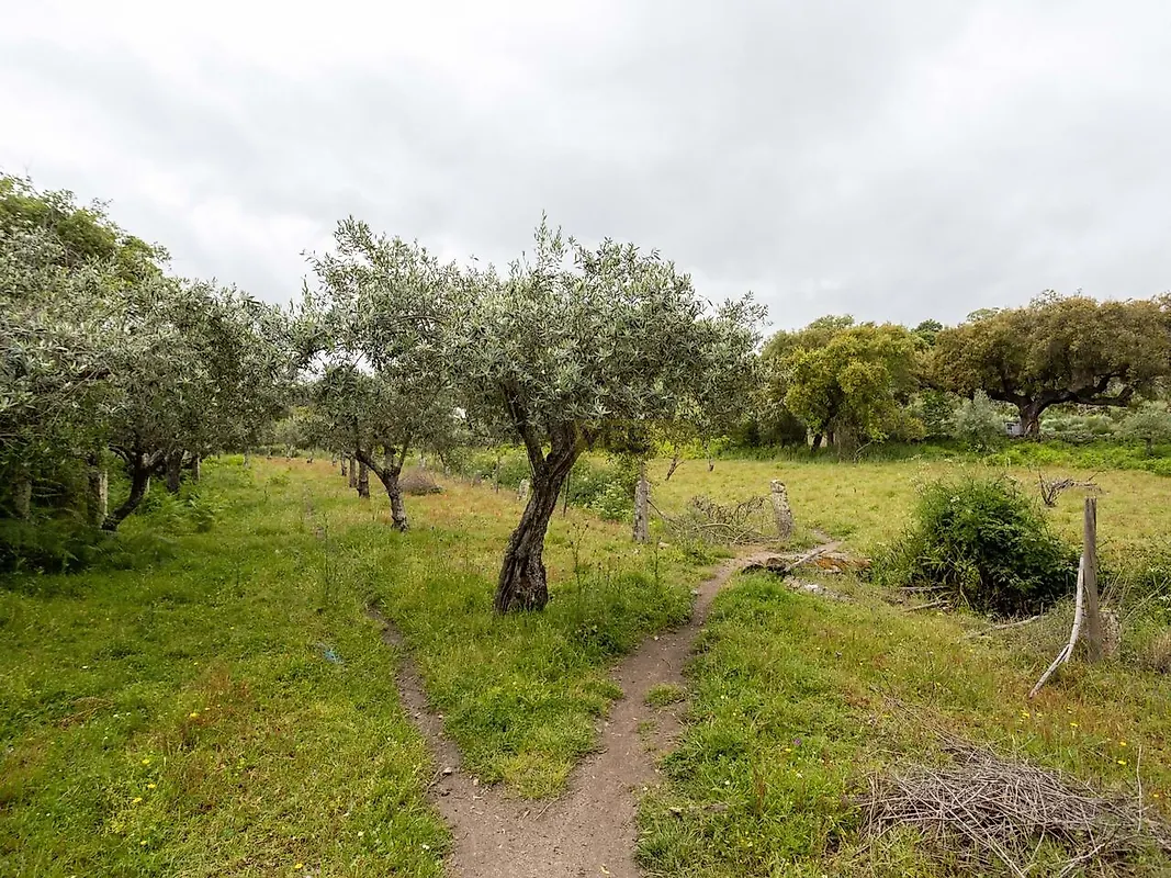 Moradia T2 à venda em Santo António das Areias, Marvão — foto 5