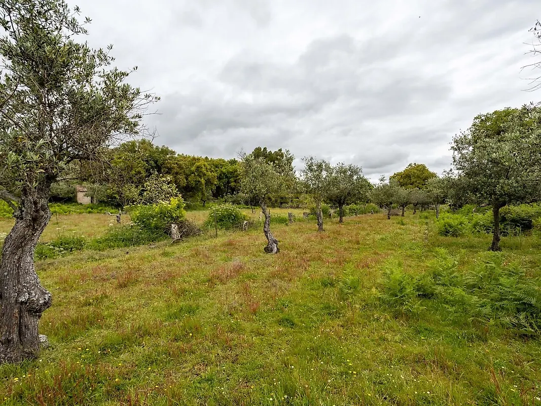 Moradia T2 à venda em Santo António das Areias, Marvão — foto 6