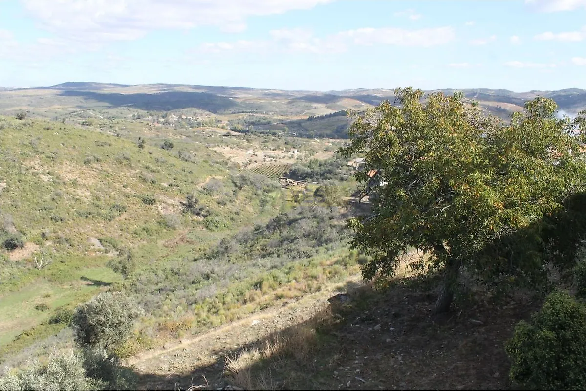 Moradia T6+ à venda em Cedovim, Vila Nova de Foz Côa — foto 15
