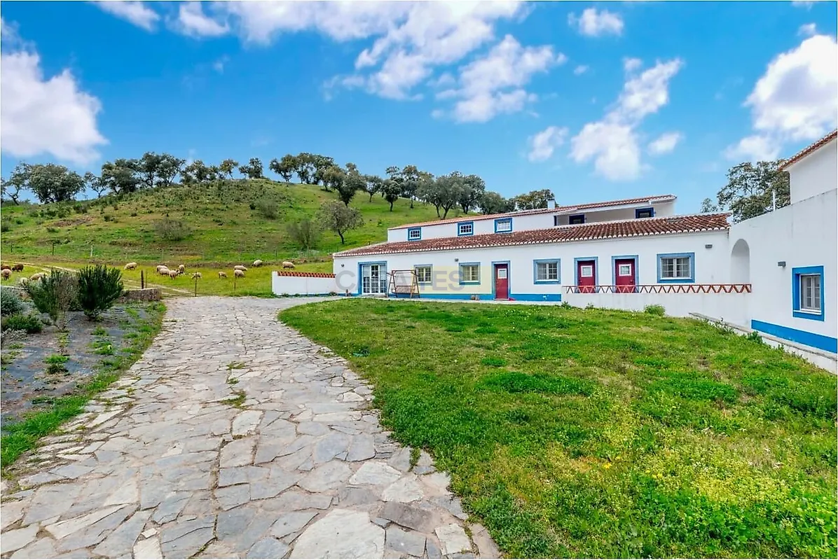 Moradia T6+ à venda em Ciladas, Vila Viçosa — foto 7