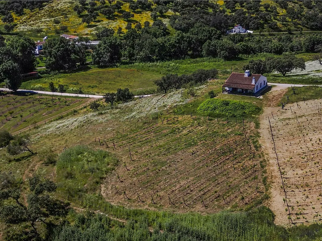 Moradia T6+ à venda em Ciladas, Vila Viçosa — foto 5