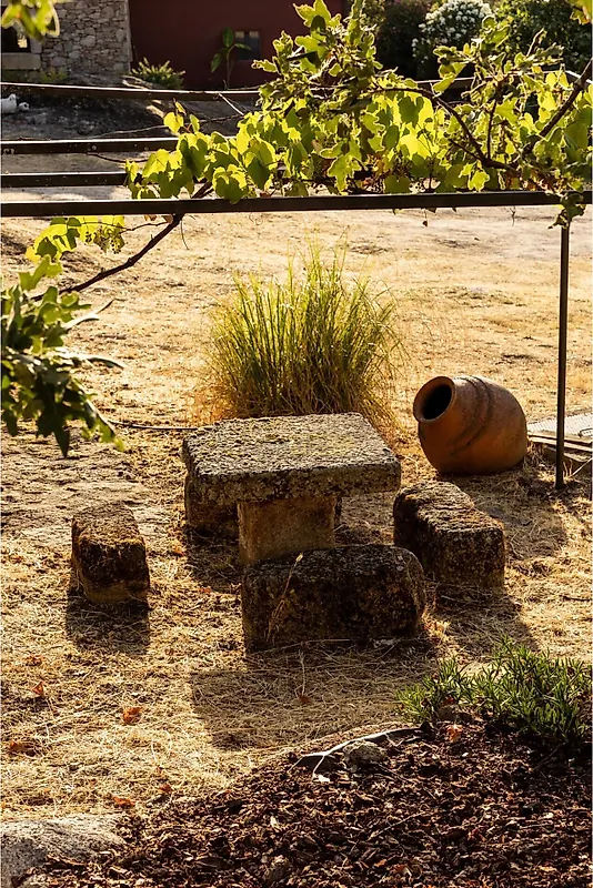 Moradia T4 à venda em Santa Maria de Marvão, Marvão — foto 35