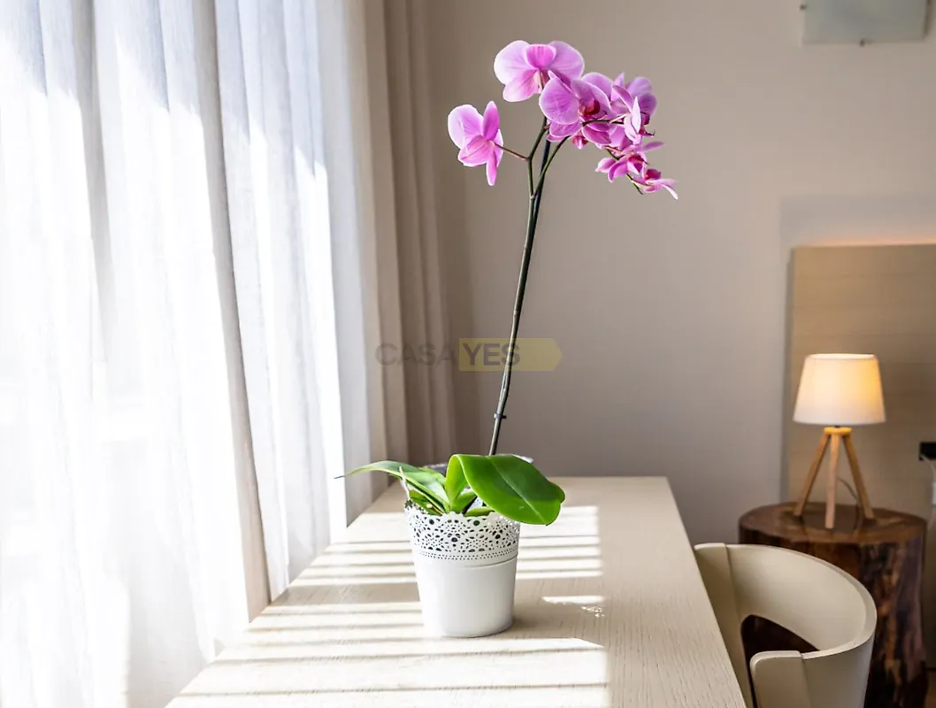 Apartamento T0 à venda em Luz, Lagos — foto 3