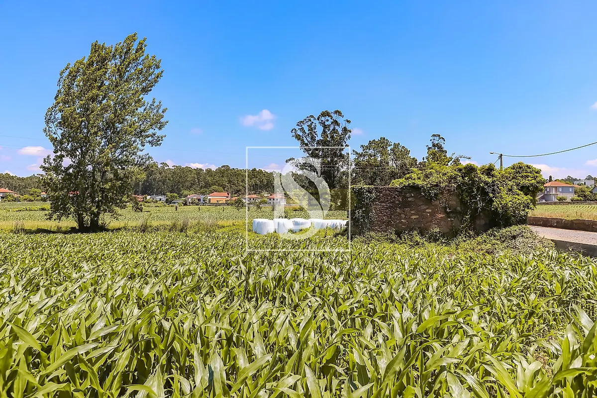 Moradia T2 à venda em Vila Seca, Barcelos — foto 8