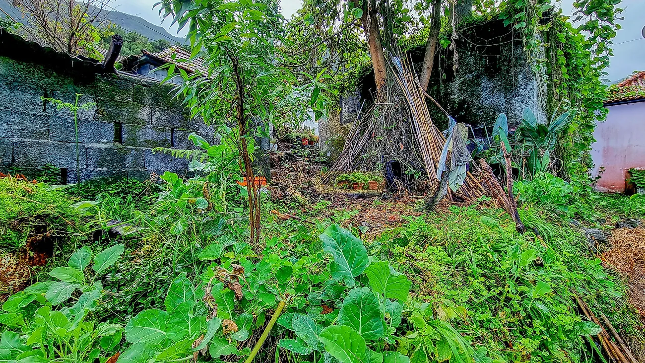 Moradia T6+ à venda em Boa Ventura, São Vicente — foto 9