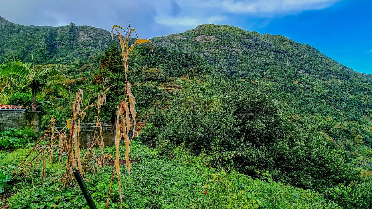 Moradia T6+ à venda em Boa Ventura, São Vicente — foto 10