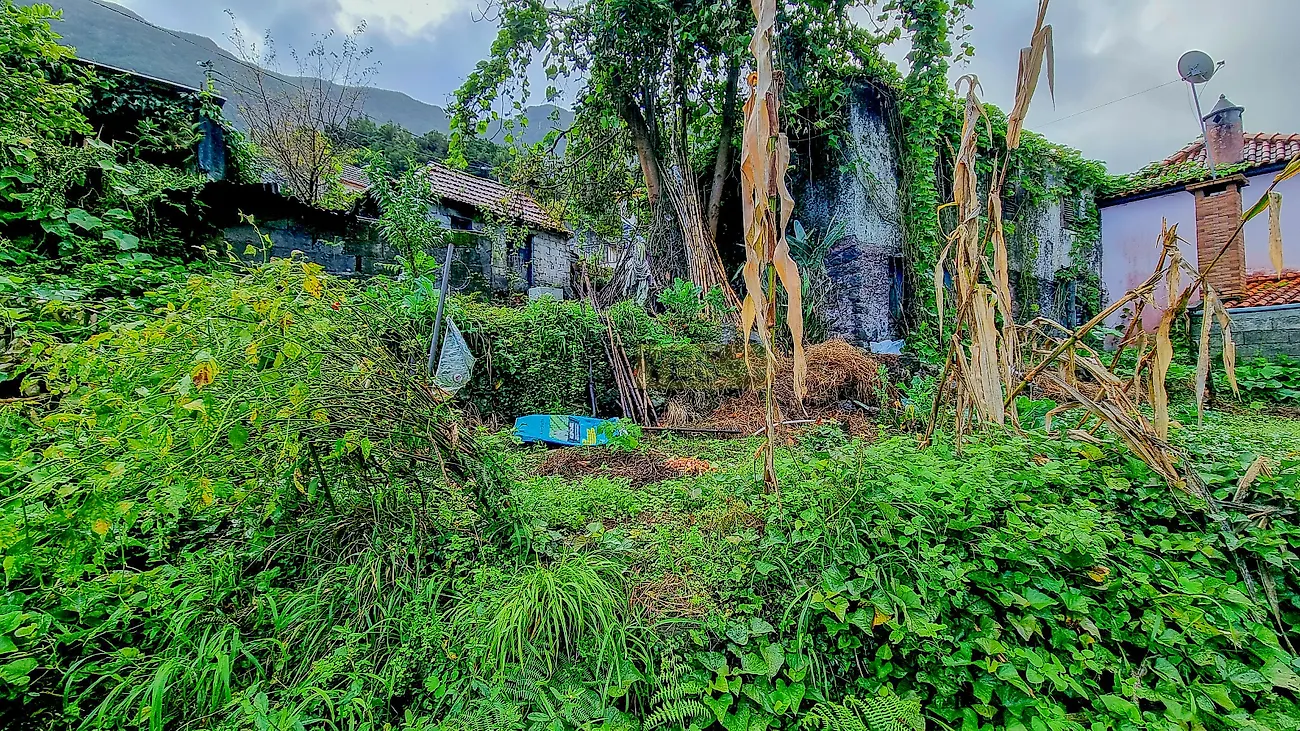 Moradia T6+ à venda em Boa Ventura, São Vicente — foto 12