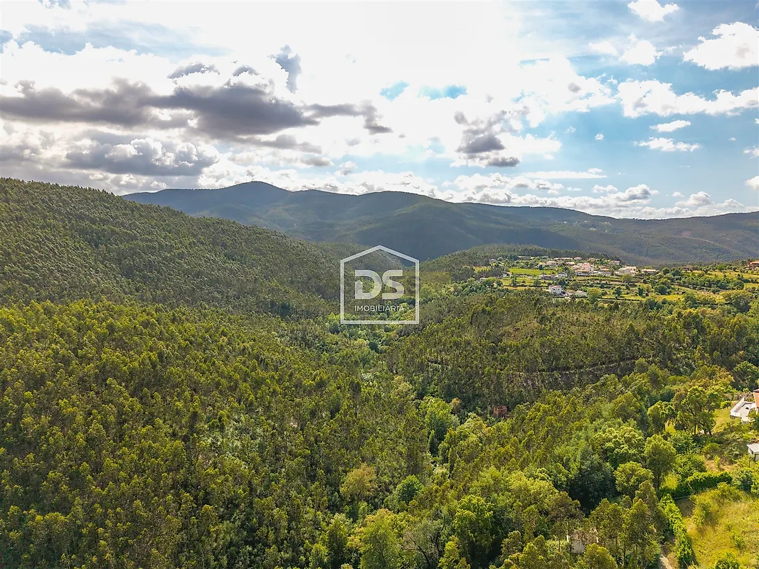 Moradia T3 à venda em Raiva, Pedorido e Paraíso, Castelo de Paiva — foto 5